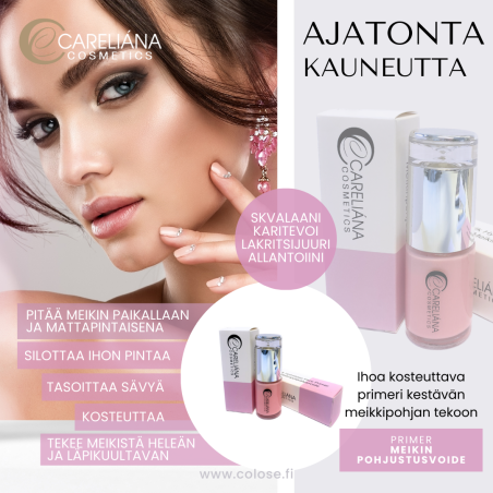 MEIKINPOHJUSTUSVOIDE - PRIMER