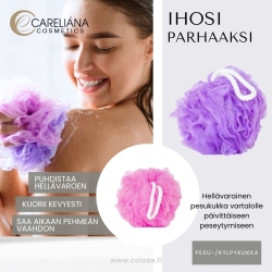 PESUKUKKA 2