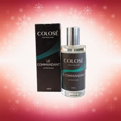 PARTAVESI LE COMMANDANT II