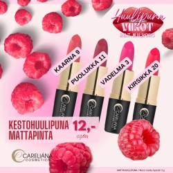 MATTAHUULIPUNA PUOLUKKA 2